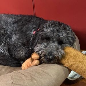 Meet your Posher, Olivia